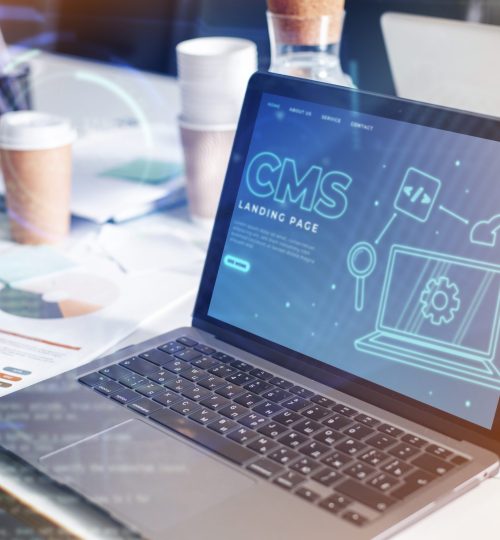 person-working-html-computer